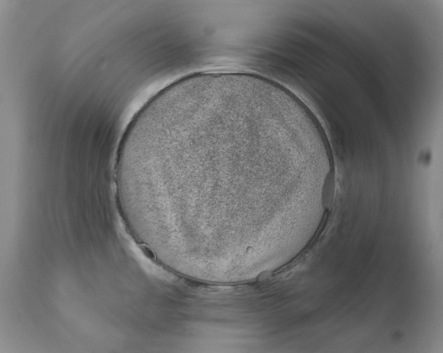 X0000112381485200909101334