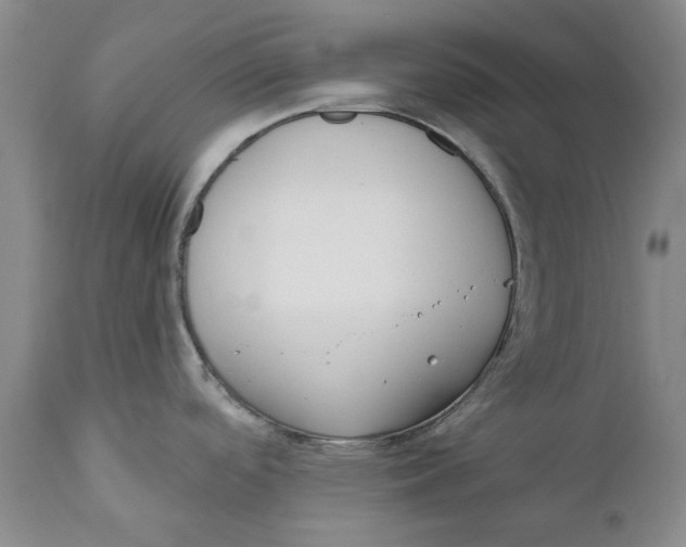 X0000112381488200909101334