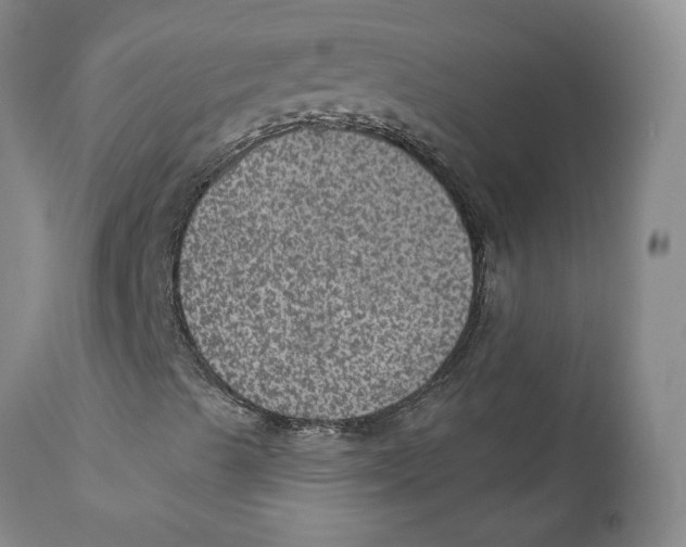 X0000112381489200909101333