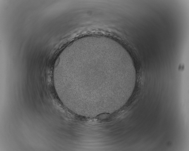 X0000112381490200909101333