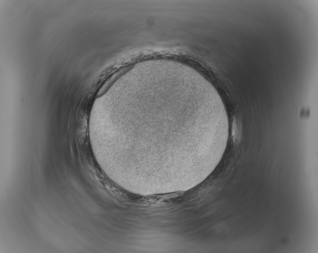 X0000112381492200909101333