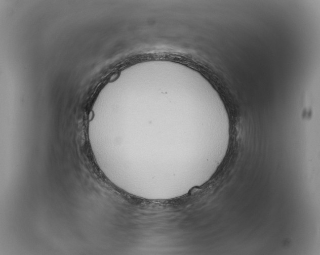 X0000112381493200909101333