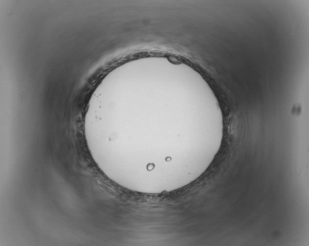 X0000112381495200909101333