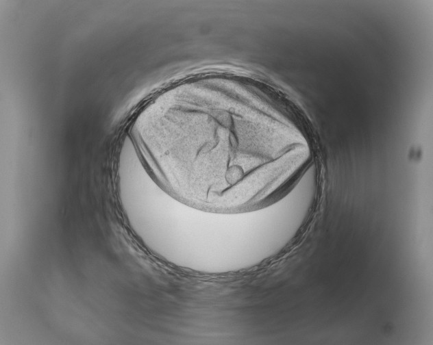 X0000112381496200909101333