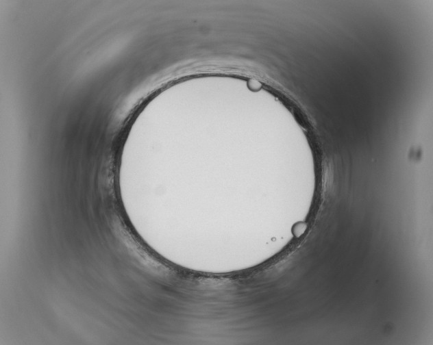 X0000112381498200909101333