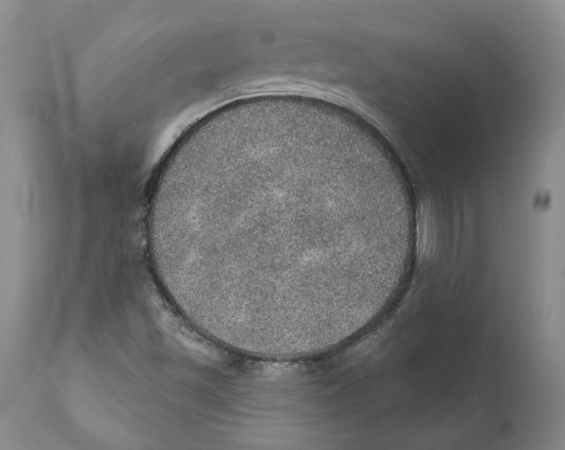 X0000112381501200909101333