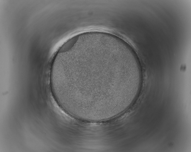 X0000112381504200909101333