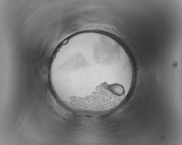 X0000112381505200909101333