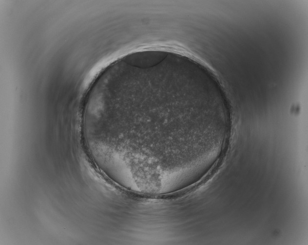 X0000112381506200909101333