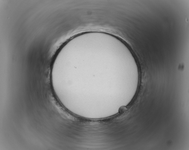 X0000112381507200909101333