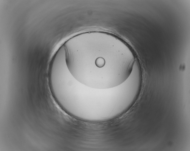 X0000112381508200909101333