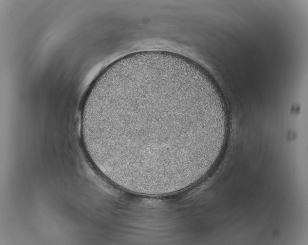 X0000112381509200909101333