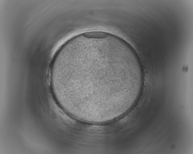 X0000112381510200909101333