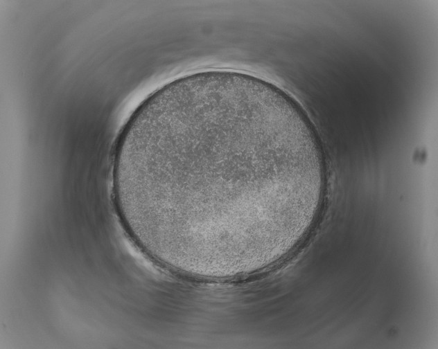 X0000112381511200909101333