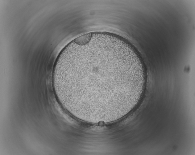 X0000112381513200909101333