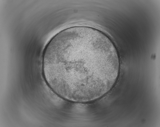 X0000112381514200909101333