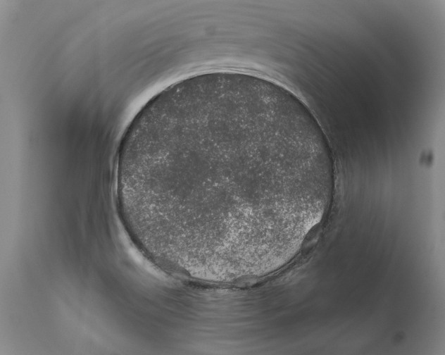 X0000112381515200909101333