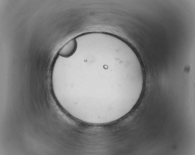 X0000112381517200909101333