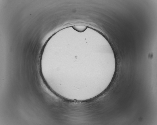 X0000112381518200909101333