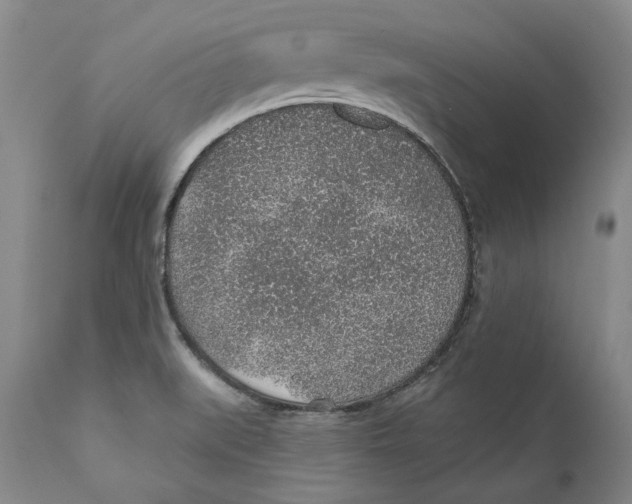 X0000112381519200909101333