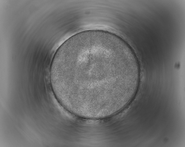 X0000112381521200909101333