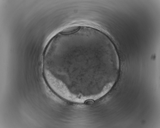 X0000112381522200909101333