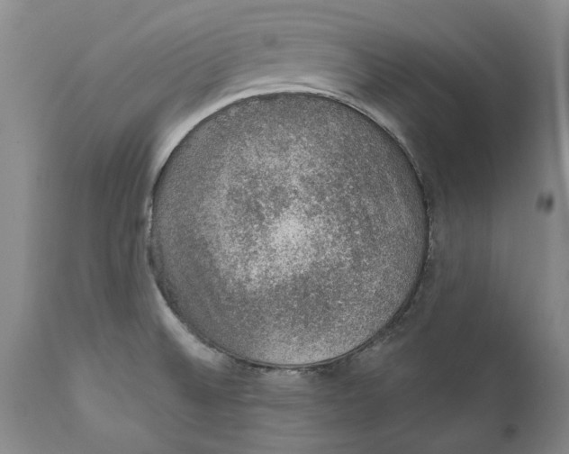 X0000112381524200909101333