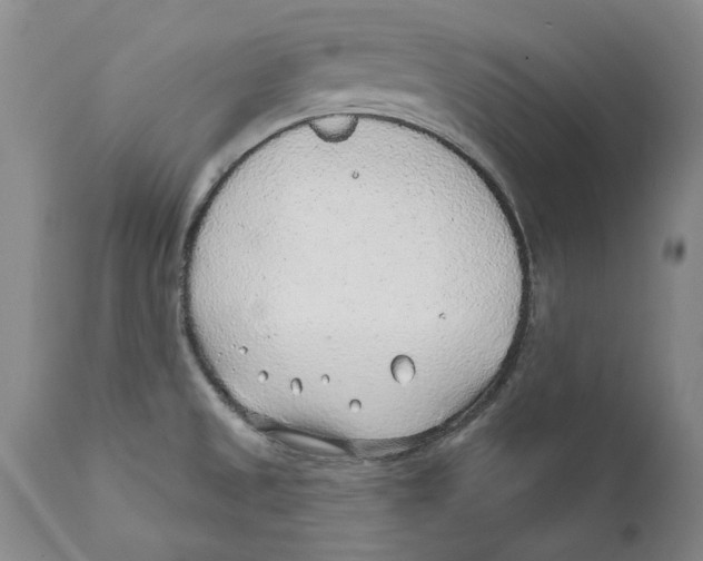 X0000112381525200909101333