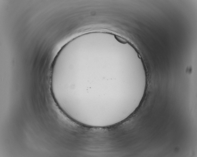 X0000112381526200909101333