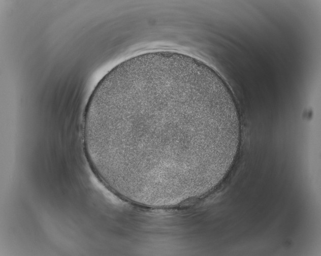 X0000112381527200909101333