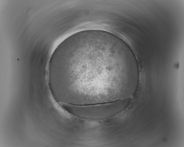 X0000112381528200909101333