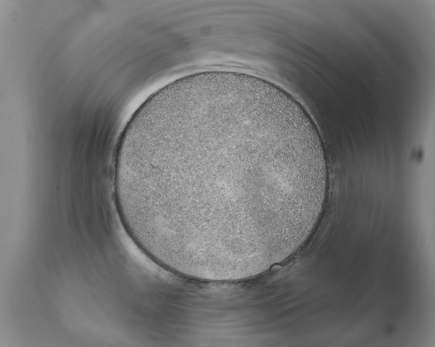 X0000112381531200909101334