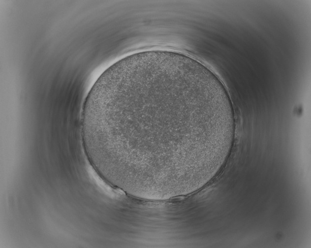 X0000112381532200909101334