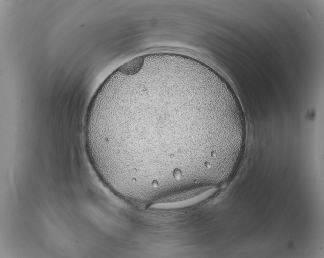 X0000112381533200909101334