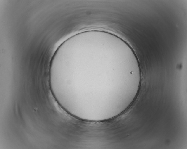 X0000112381534200909101334