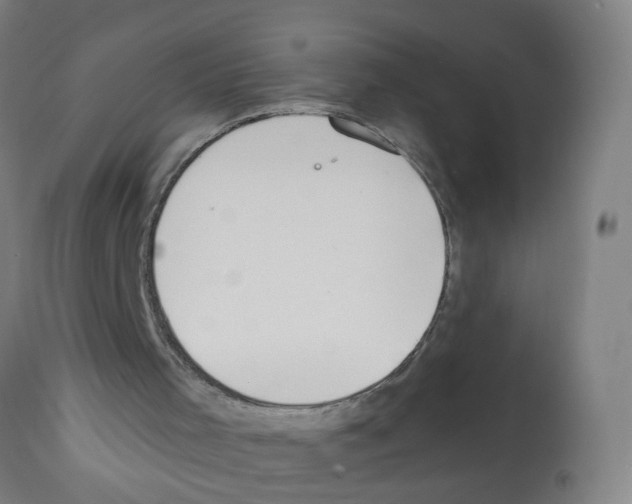 X0000112380001200909241226