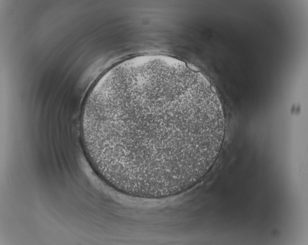 X0000112380002200909241226