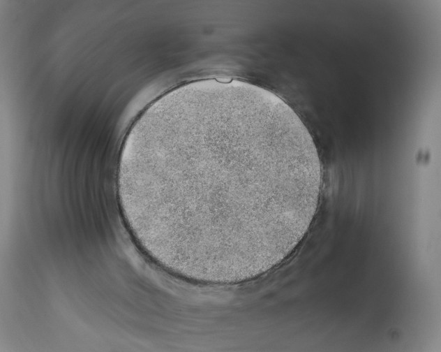 X0000112380004200909241226