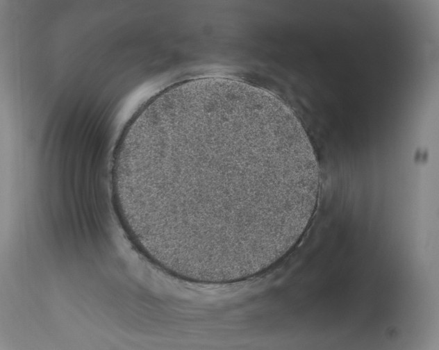 X0000112380006200909241226