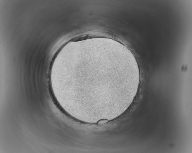 X0000112380007200909241226