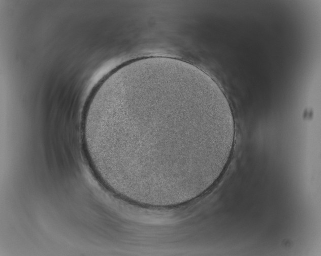 X0000112380008200909241225