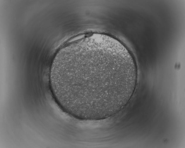 X0000112380009200909241225