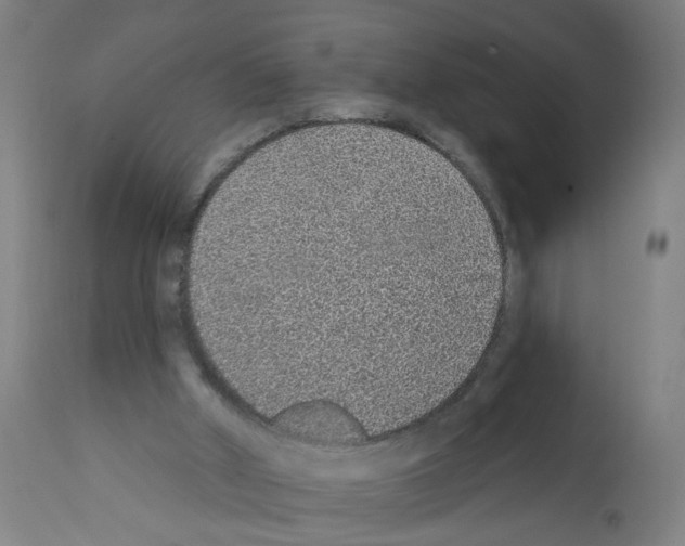 X0000112380010200909241225