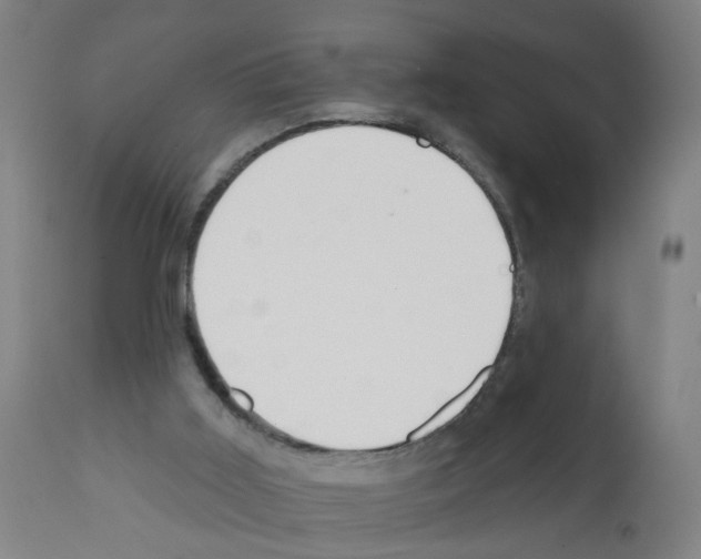 X0000112380011200909241225