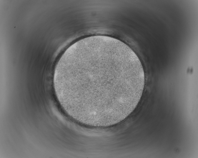 X0000112380012200909241225