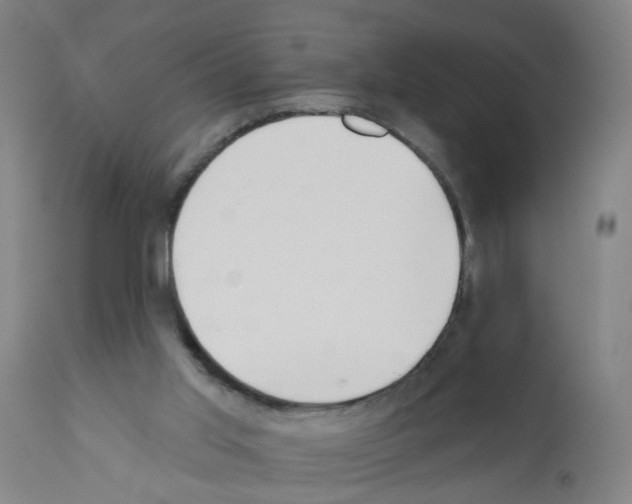 X0000112380013200909241225