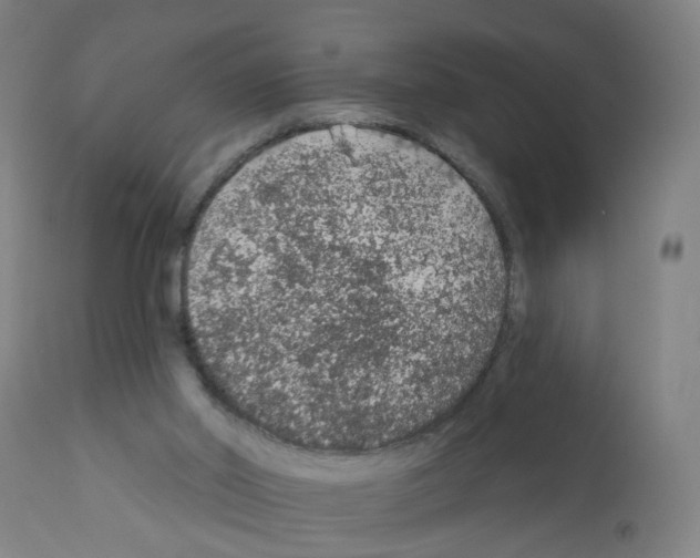 X0000112380014200909241225