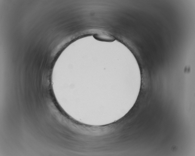 X0000112380015200909241225