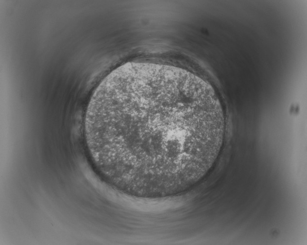 X0000112380018200909241225