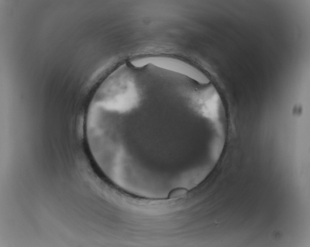 X0000112380019200909241225